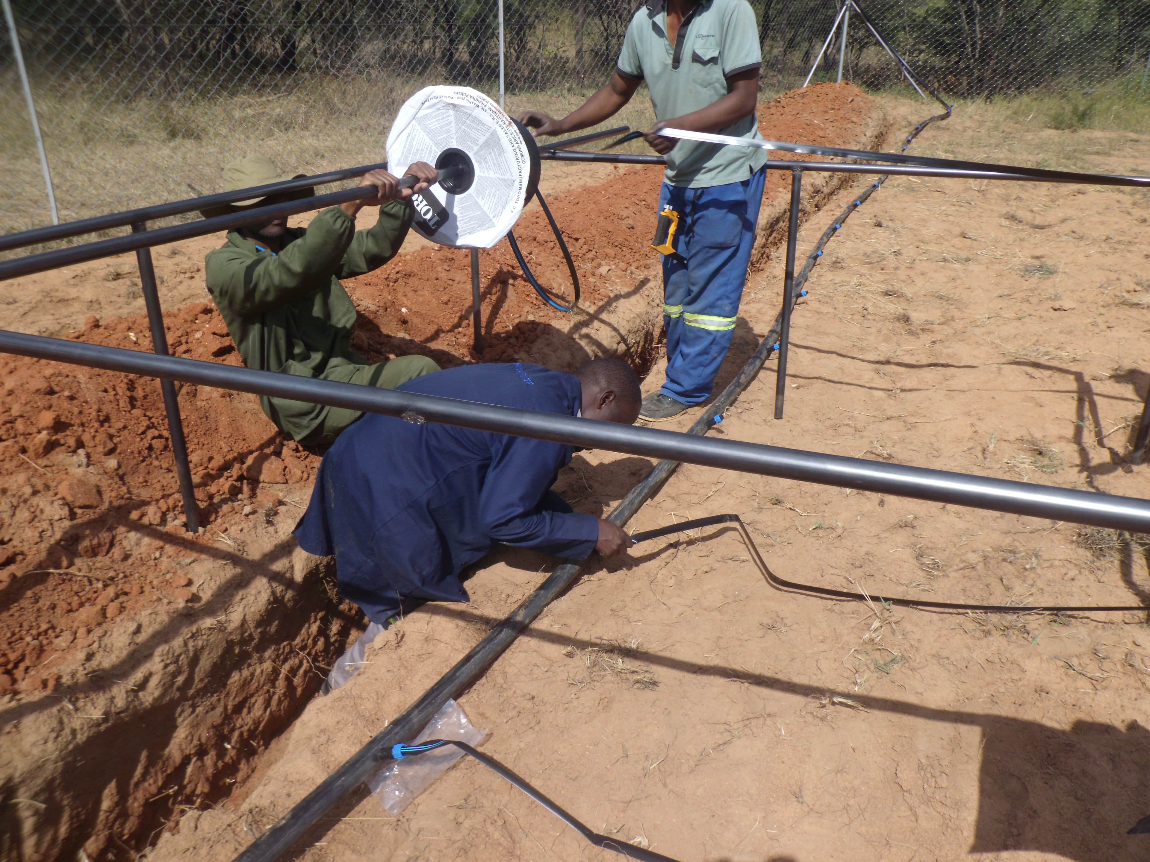 Drip Irrigation Installation